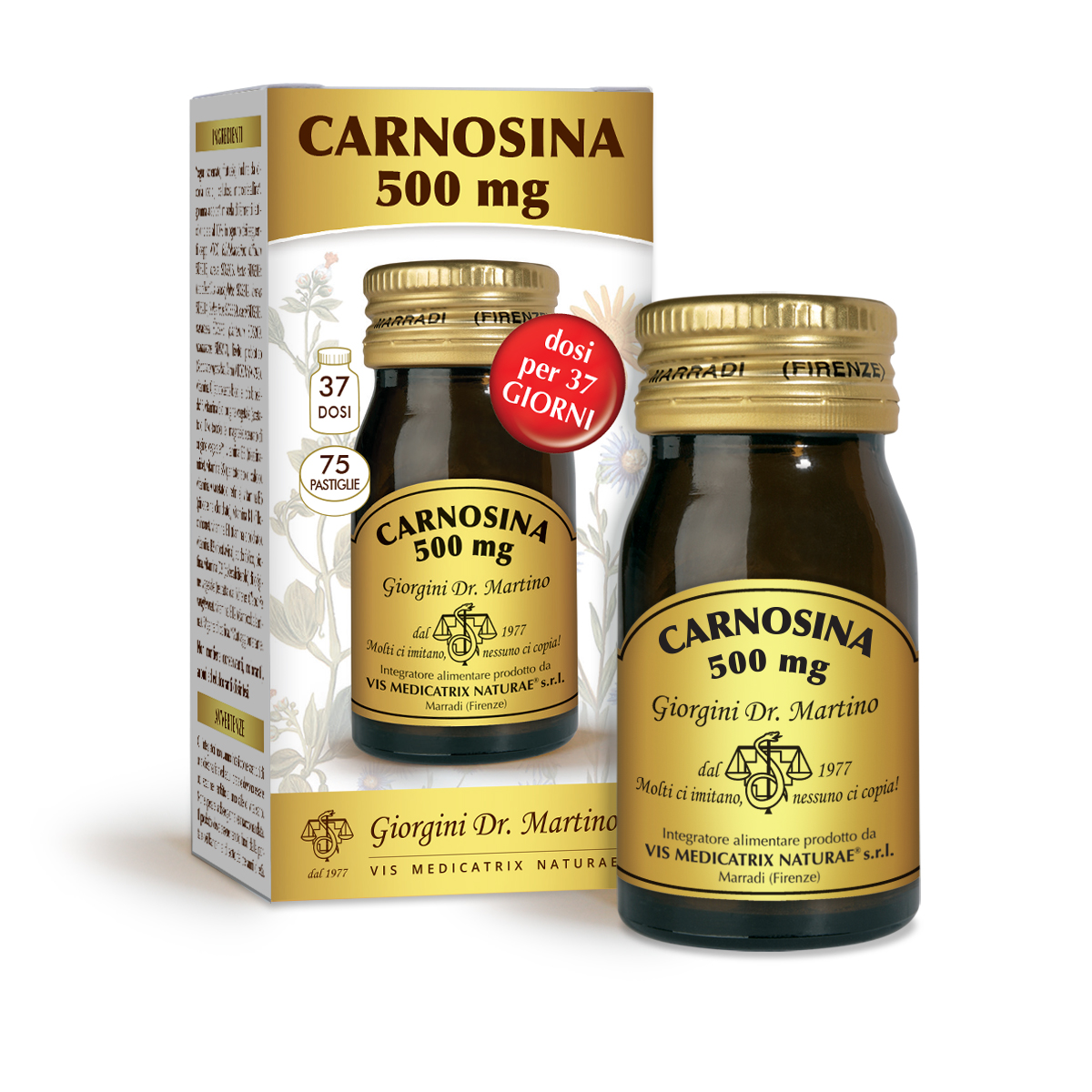 CARNOSINE 500 mg - 30 g - 400 mg tablets main product photo