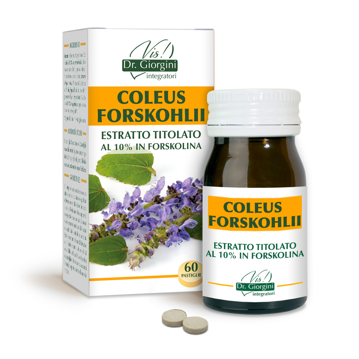 COLEUS FORSKOHLII Standardized extract Tablets