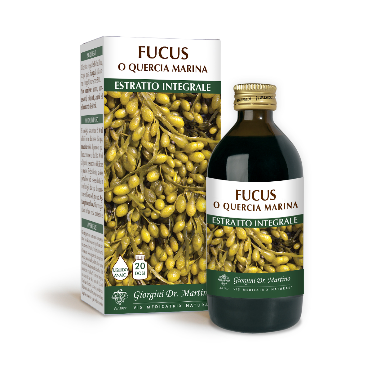 FUCUS o SARGAZO VEJIGOSO EXTRACTO INTEGRAL SIN ALCOHOL 200 ml main product photo