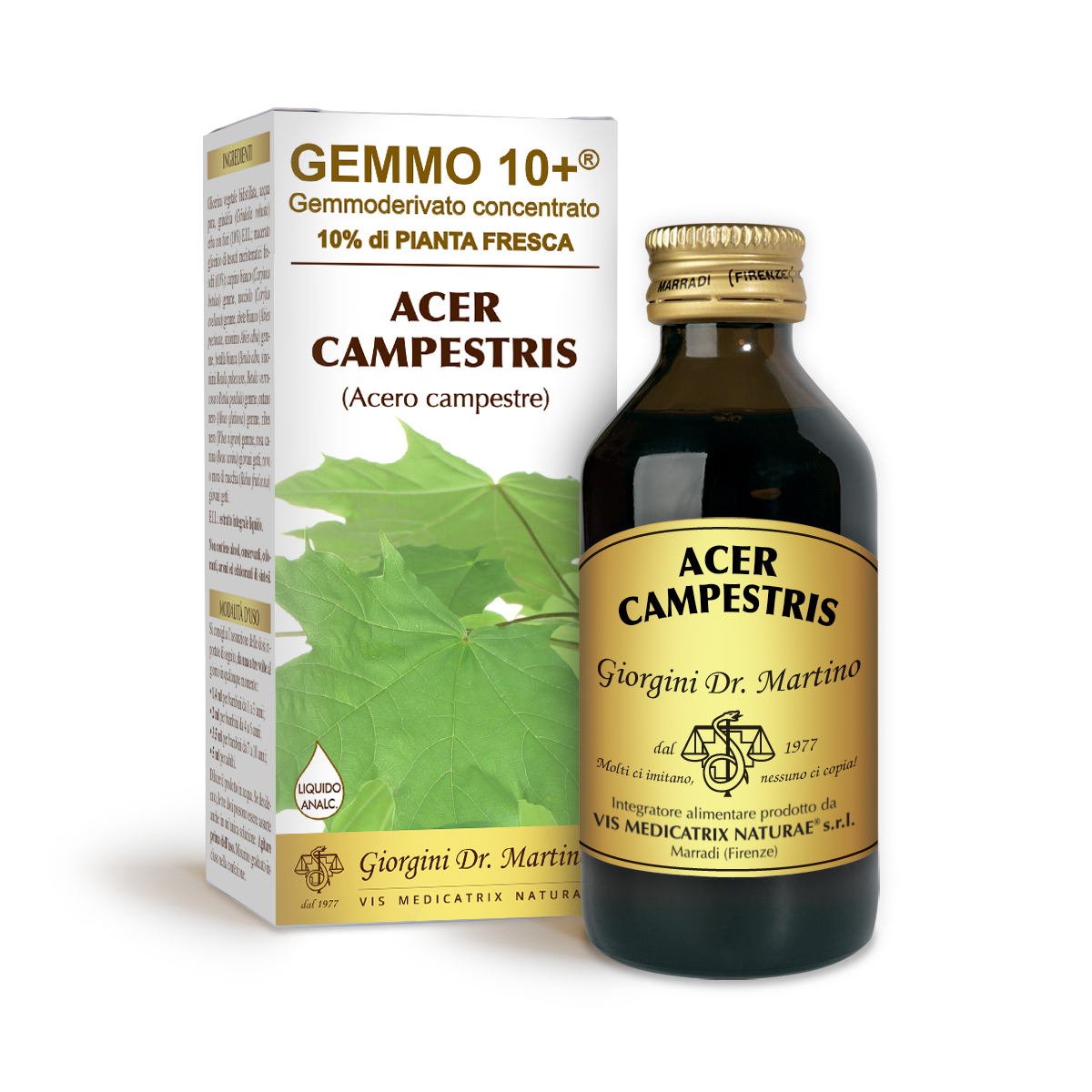 G10+ FIELD MAPLE (Acer campestris) Alcohol-free liquid main product photo