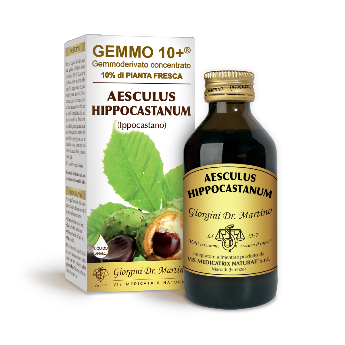 G10+ MARRONNIER (Aesculus hippocastanum) Liquide sans alcool main product photo