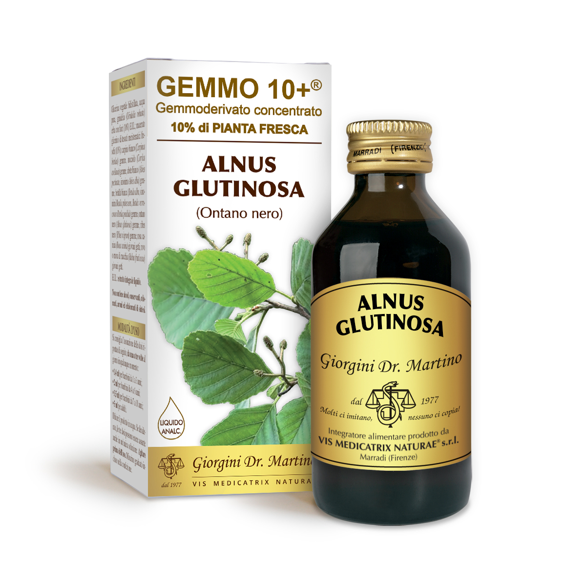 G10+ AULNE NOIR (Alnus glutinosa) Liquide sans alcool main product photo