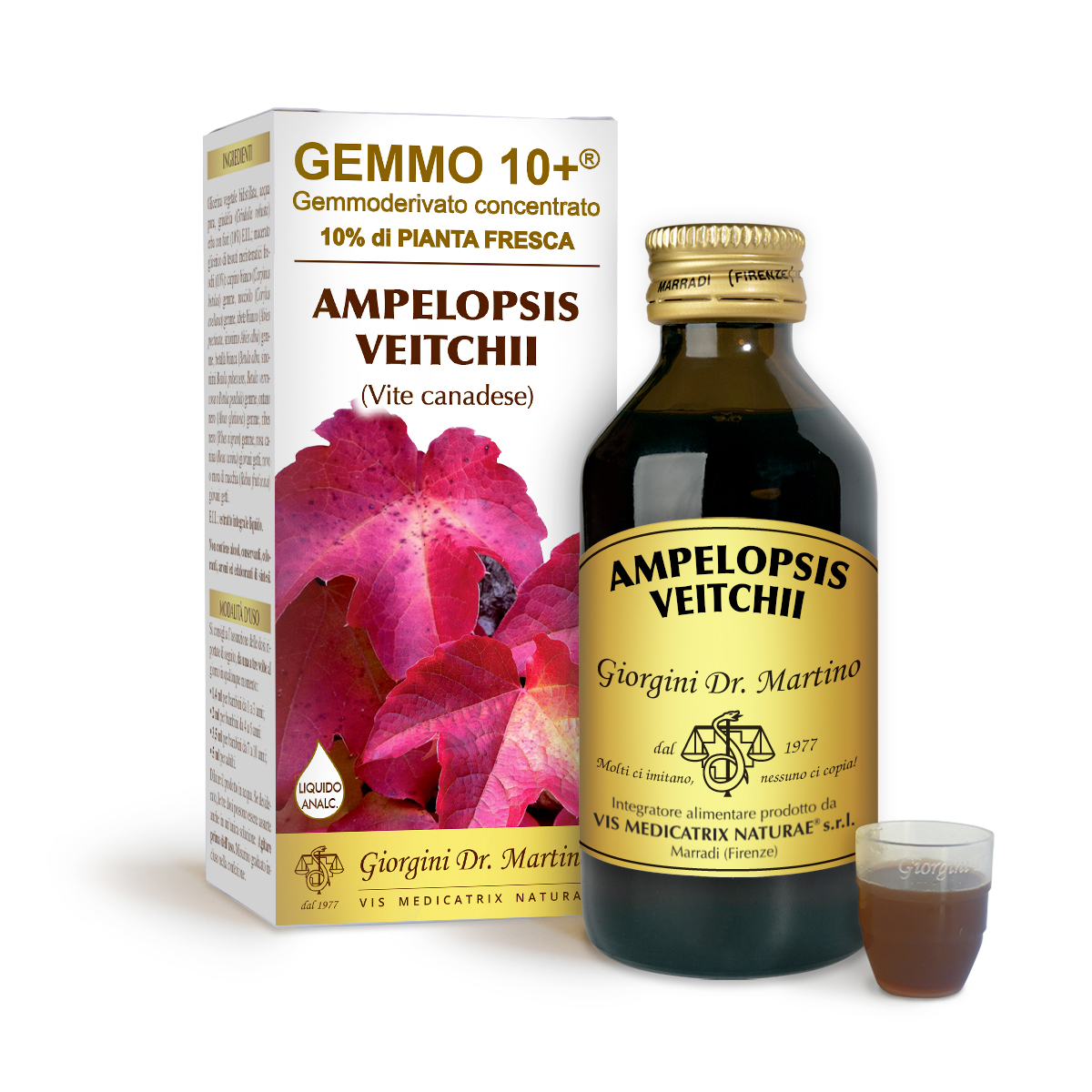 PARRA VIRGEN G10+ (Ampelopsis veitchii) Líquido sin alcohol