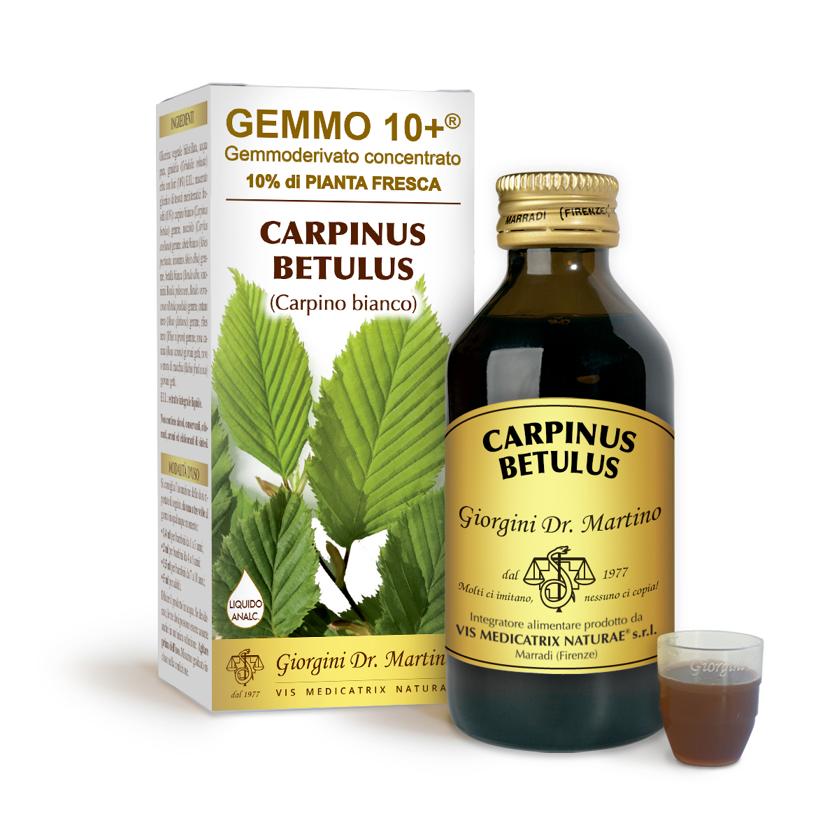 G10+ CHARME (Carpinus betulus) Liquide sans alcool