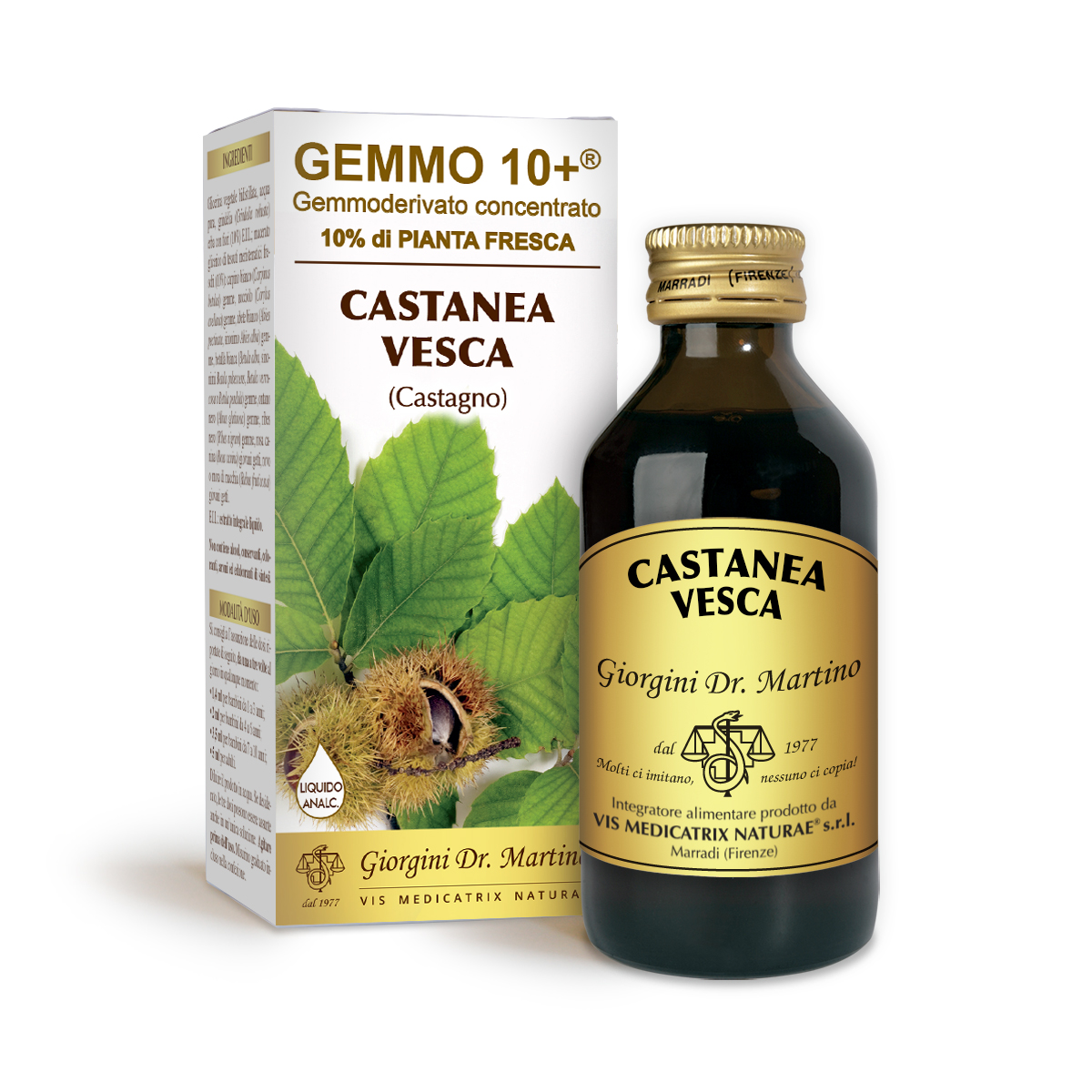 G10+EßKASTANIE (Castanea vesca) Alkoholfreie Flüssigkeit main product photo