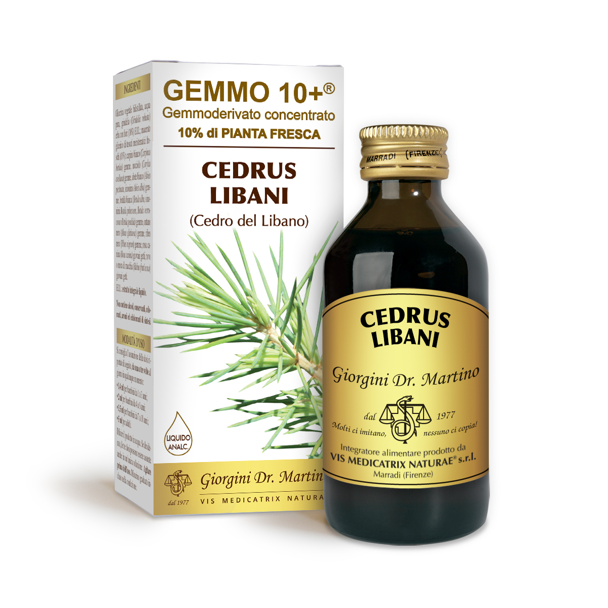 G10+ CEDAR OF LEBANON (Cedrus libani) Alcohol-free liquid main product photo