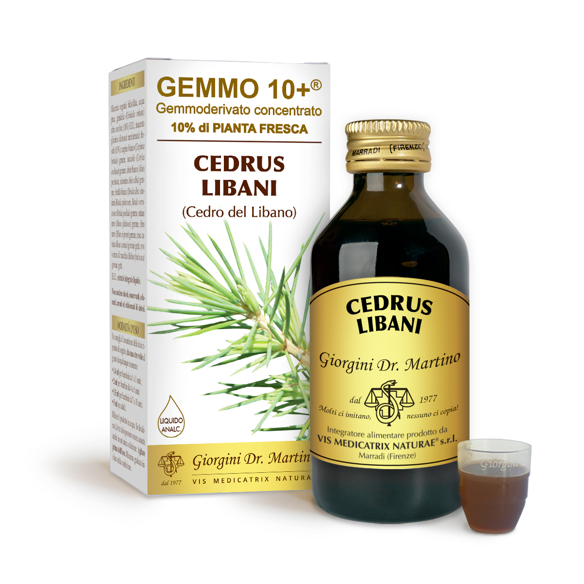 G10+LIBANON-ZEDER (Cedrus libani) Alkoholfreie Flüssigkeit