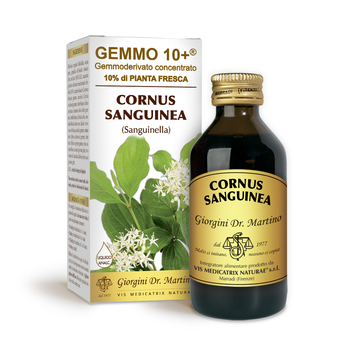 G10+ CORNOUILLER SANGUIN (Cornus sanguinella) Liquide sans alcool main product photo