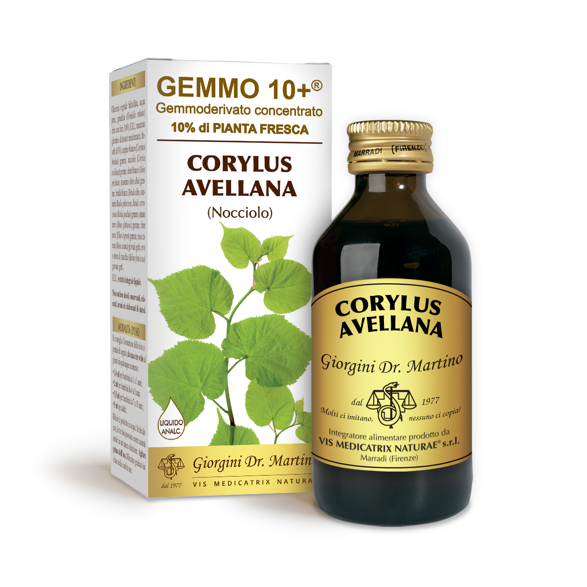 AVELLANO G10+ (Corylus avellana) Líquido sin alcohol main product photo