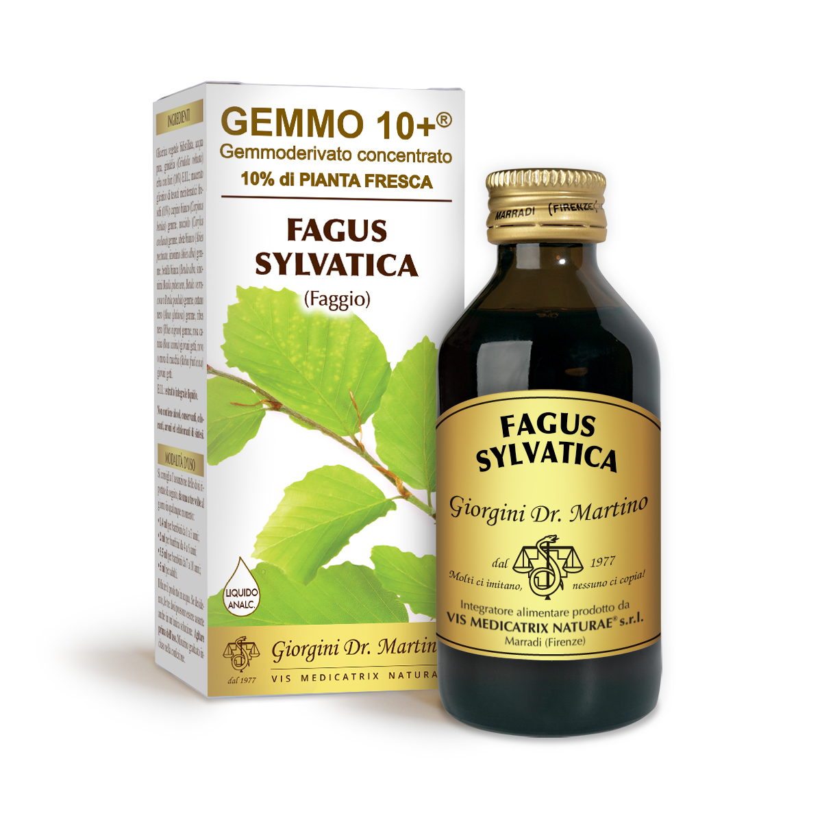 G10+ HÊTRE (Fagus sylvatica) Liquide sans alcool main product photo