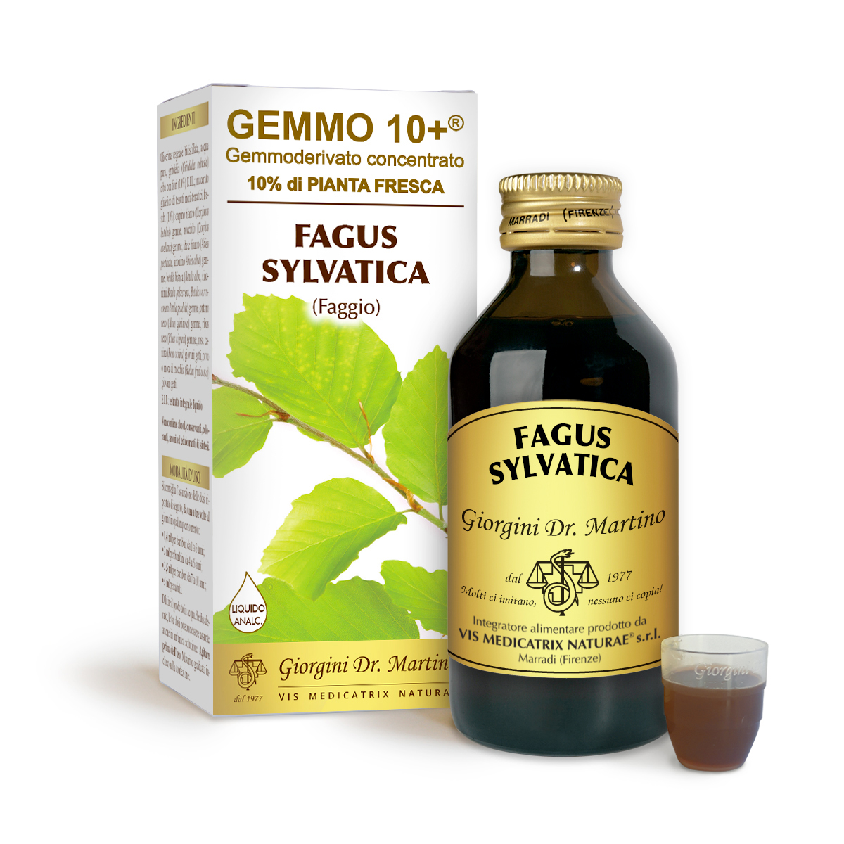 G10+ HÊTRE (Fagus sylvatica) Liquide sans alcool