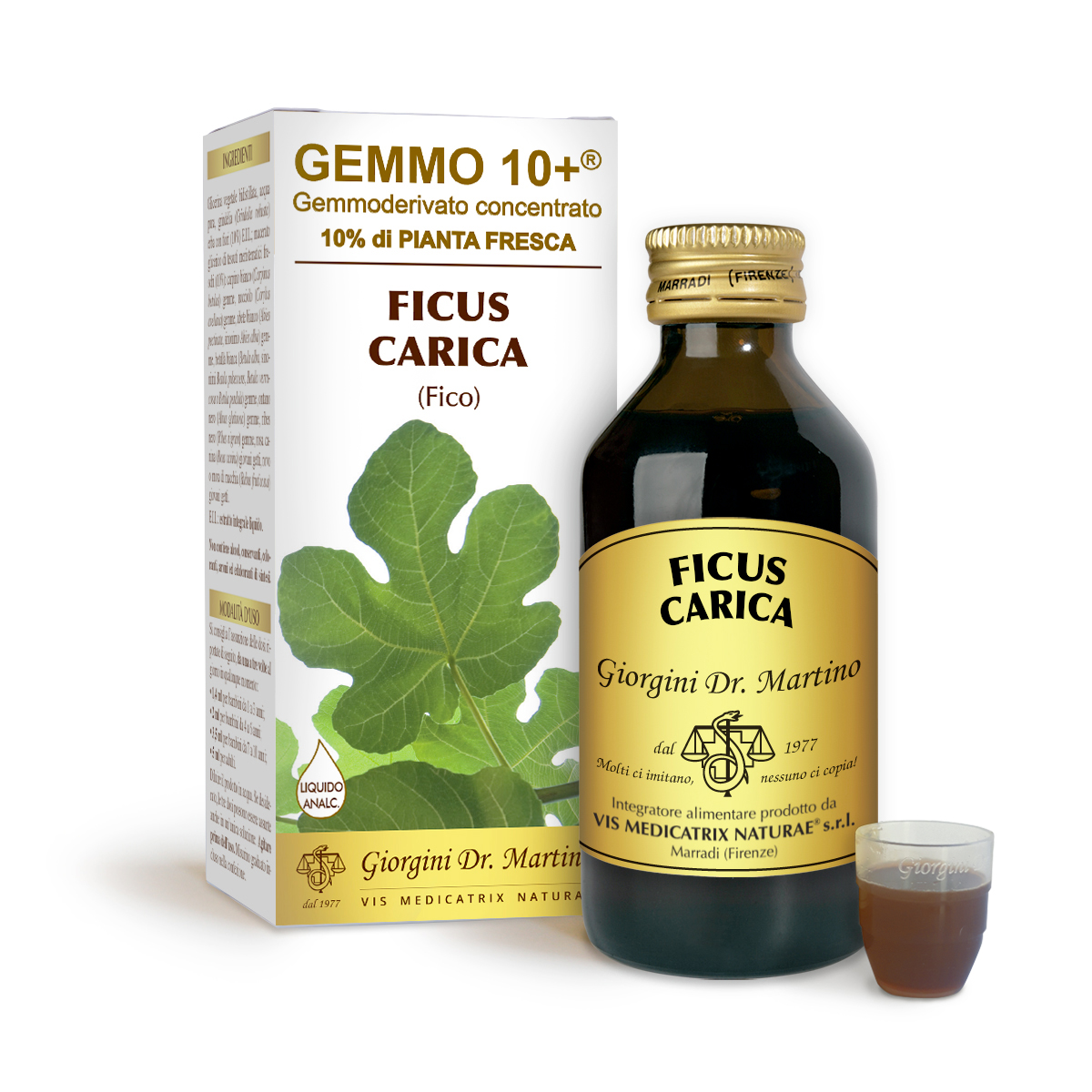 G10+ FIG TREE (Ficus carica) Alcohol-free liquid