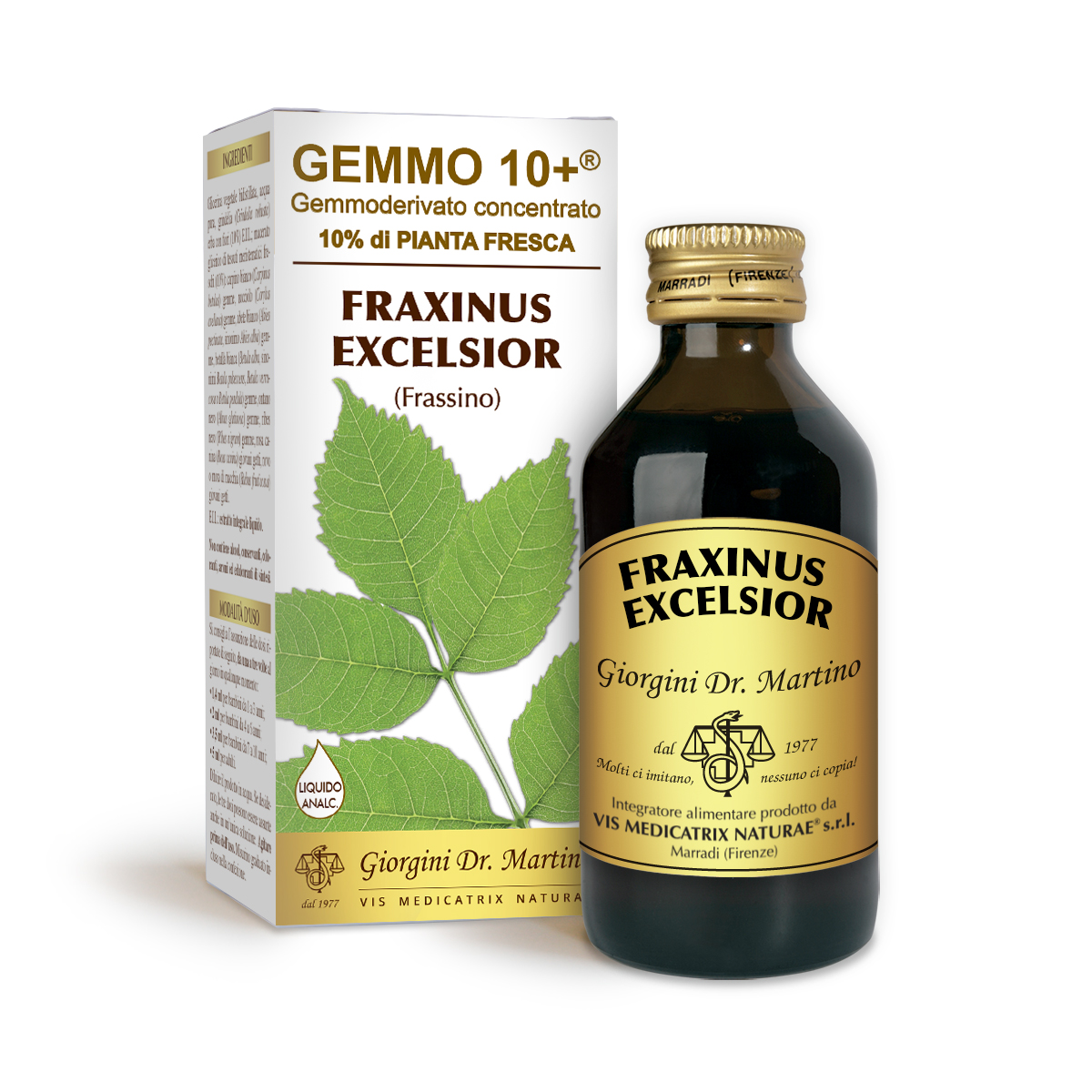 G10+ ASH TREE (Fraxiunus excelsior) Alcohol-free liquid main product photo