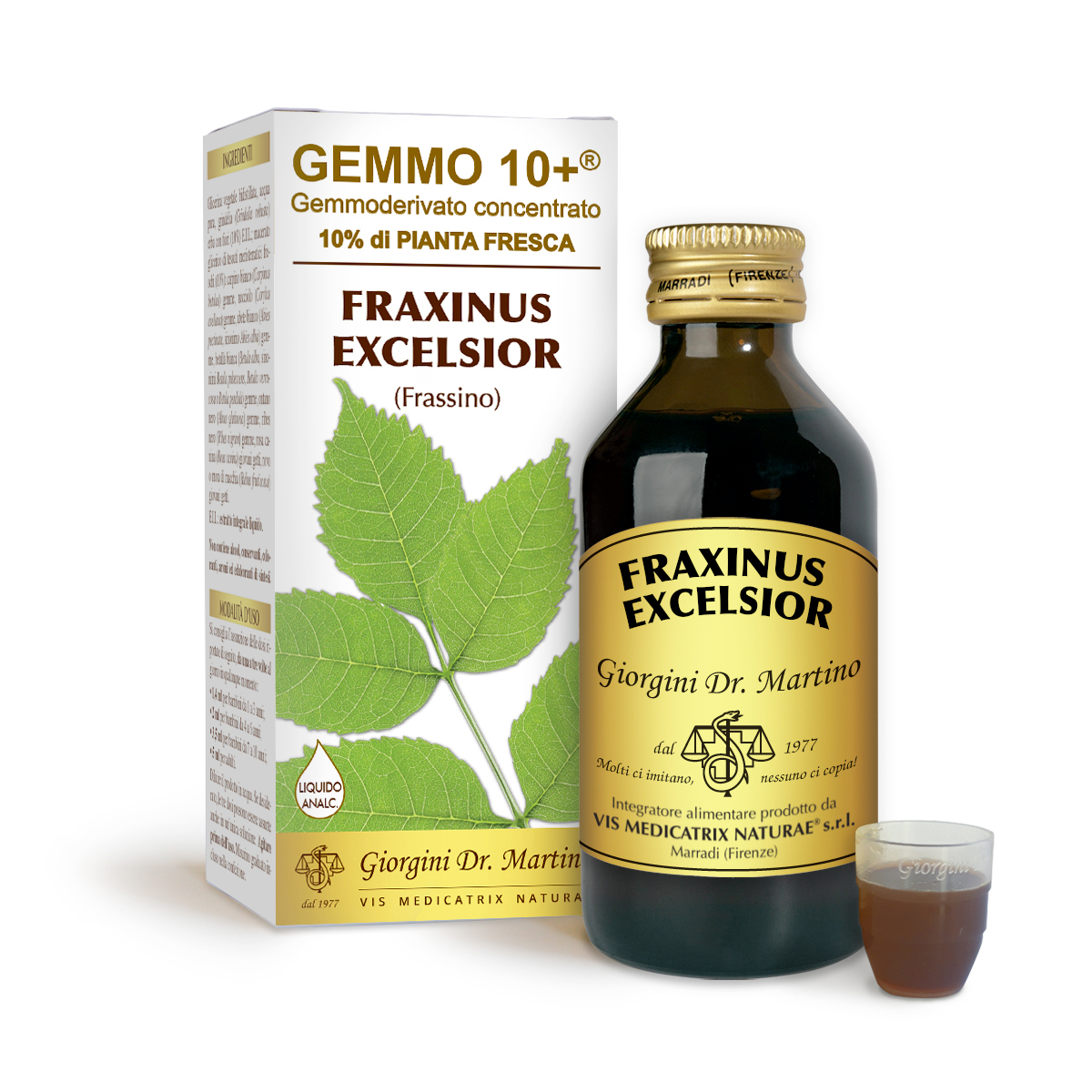 G10+ FRÊNE (Fraxinus excelsior) Liquide sans alcool