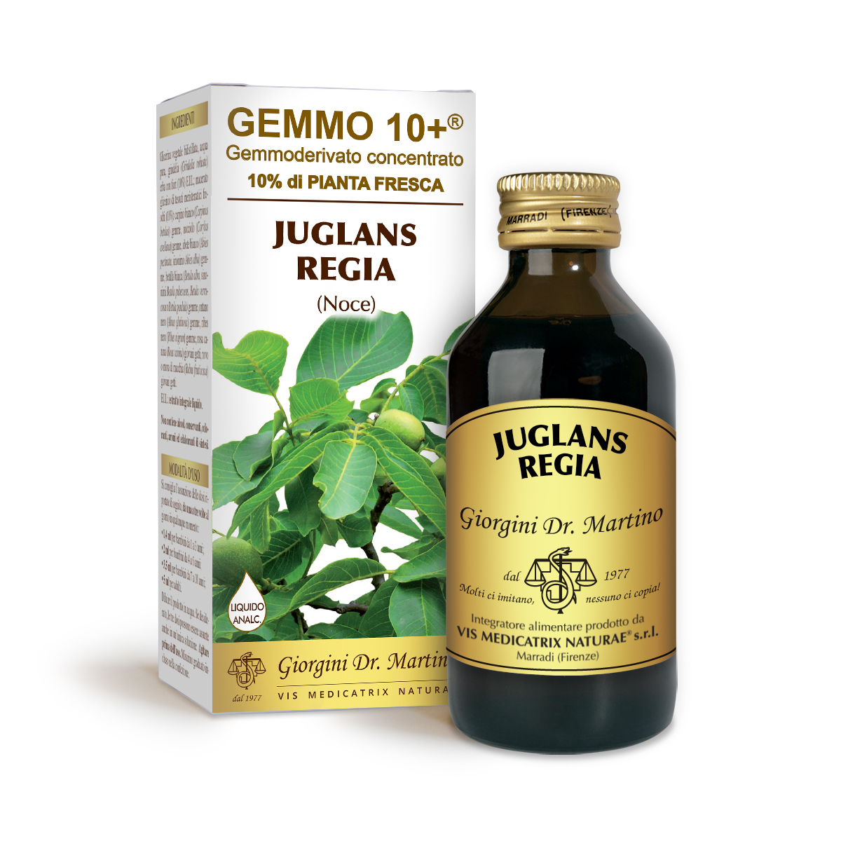 G10+ WALNUT (Juglans regia) Alcohol-free liquid main product photo