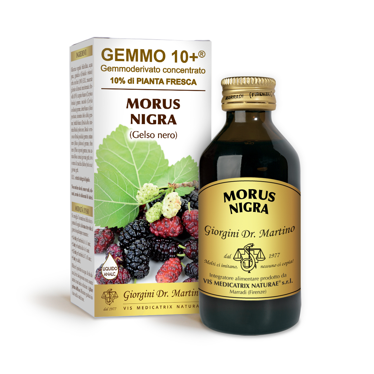 MORERA G10+ (Morus nigra) Líquido sin alcohol main product photo