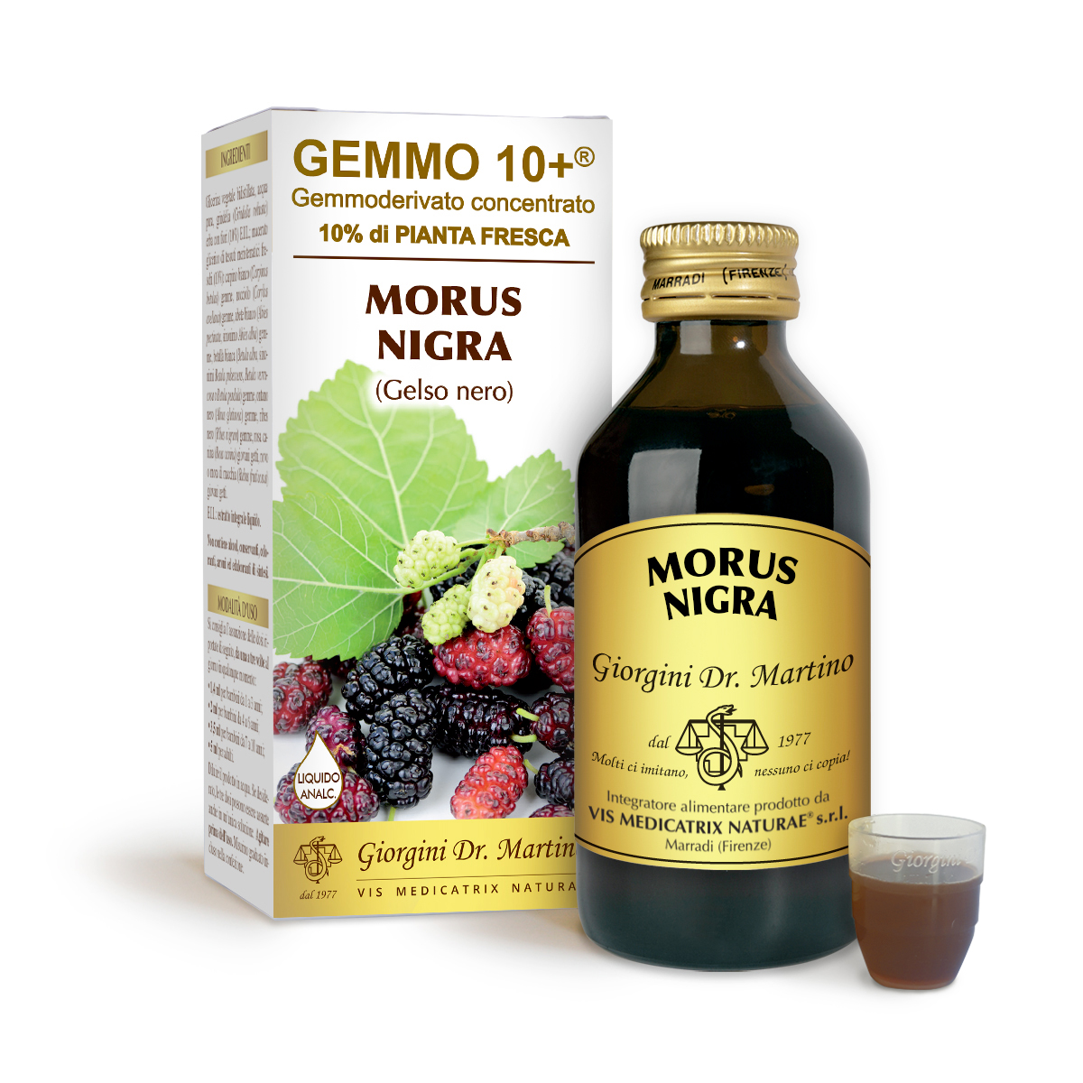 G10+ MÛRIER (Morus nigra) Liquide sans alcool