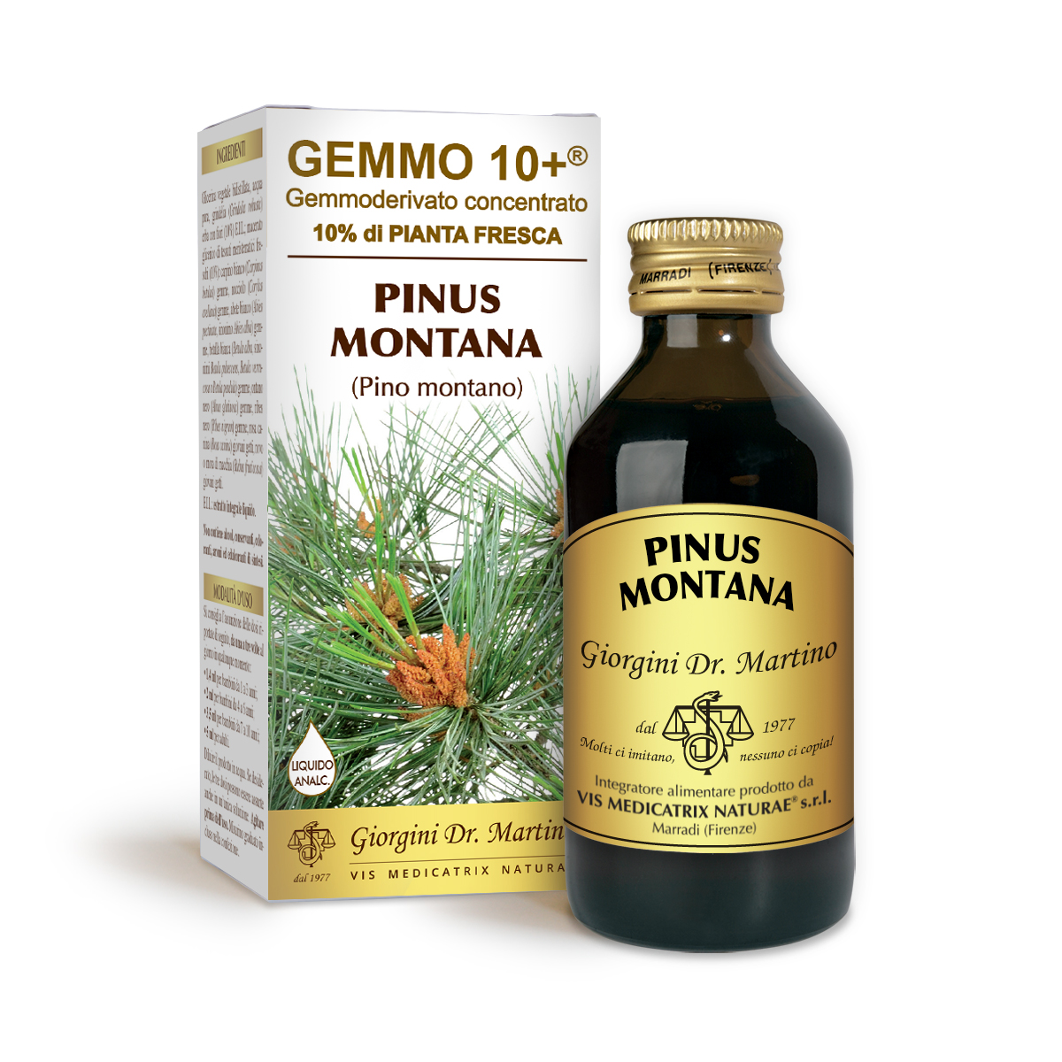 G10+ MOUNTAIN PINE (Pinus montana) Alcohol-free liquid main product photo