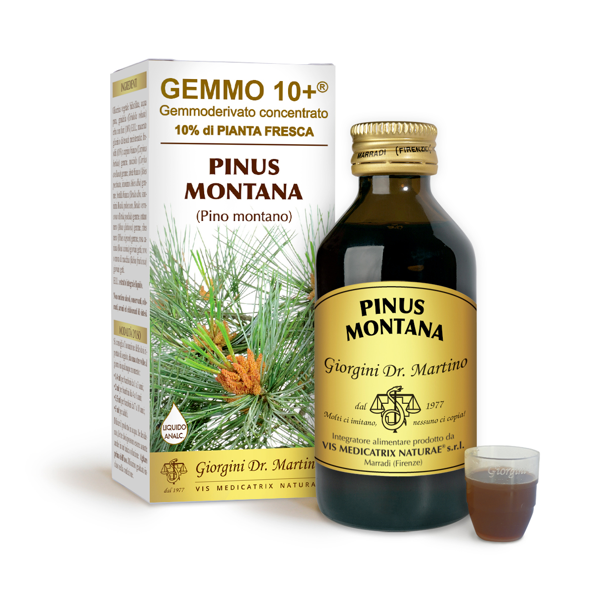 G10+ PIN DE MONTAGNE (Pinus montana) Liquide sans alcool