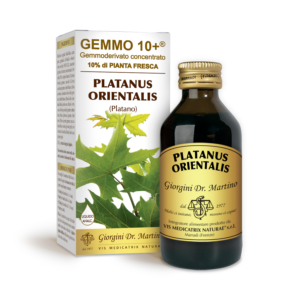 G10+PLATANE (Platanus orientalis) Alkoholfreie Flüssigkeit main product photo