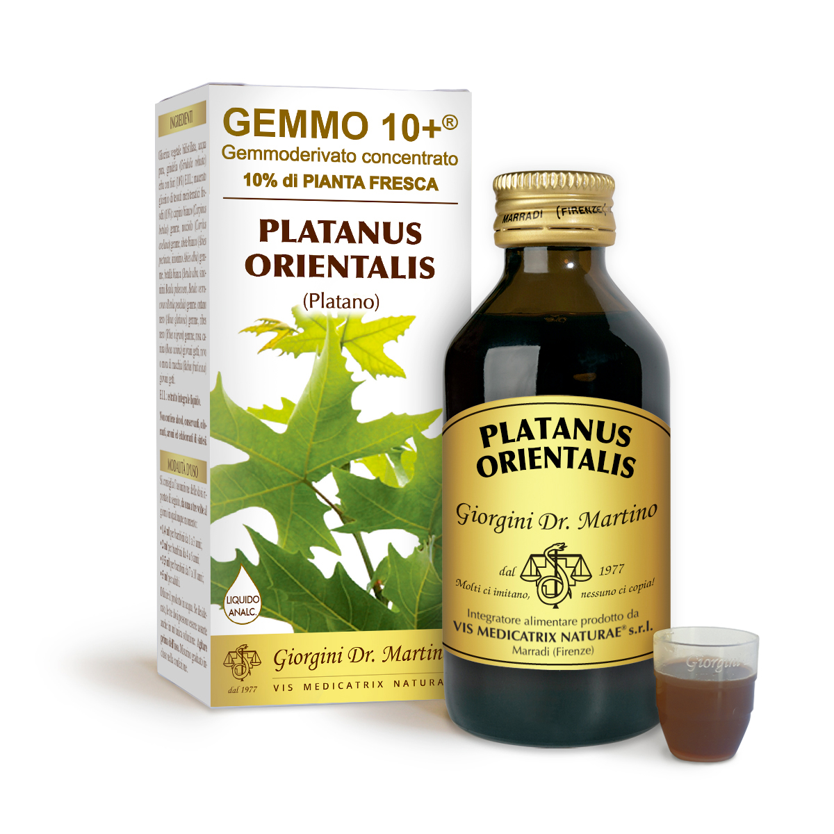 G10+ PLATANE (Platanus orientalis) Liquide sans alcool