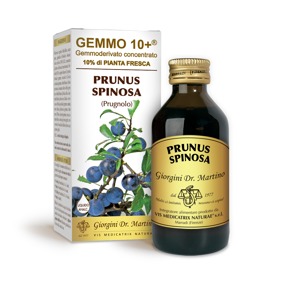 G10+SCHLEHDORN (Prunus spinosa) Alkoholfreie Flüssigkeit main product photo