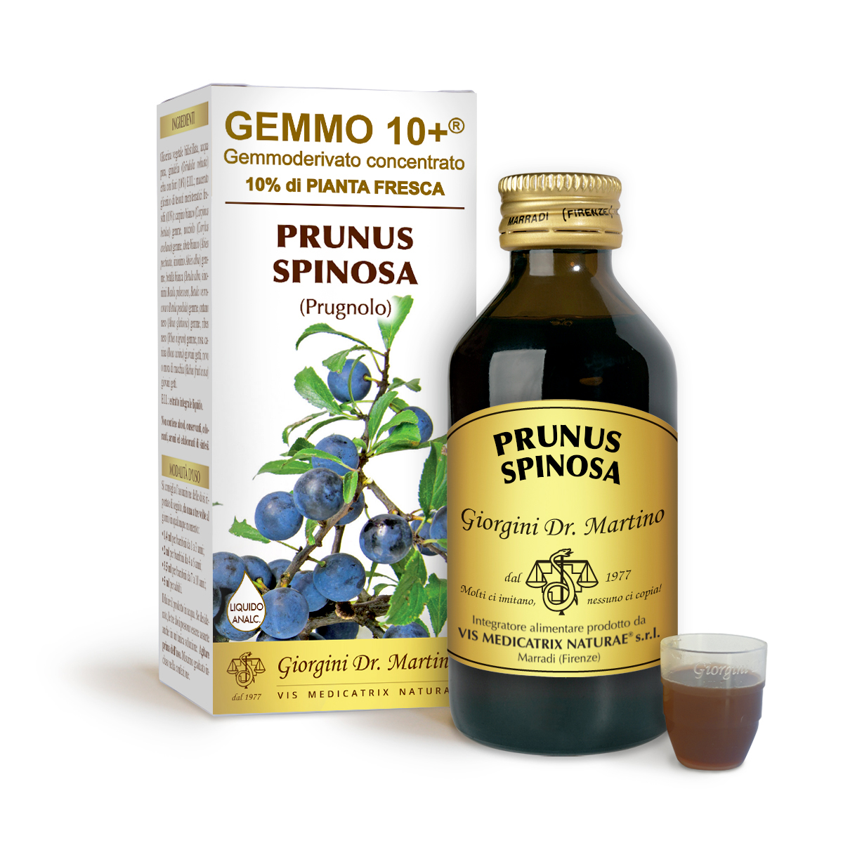 G10+ PRUNELLIER (Prunus spinosa) Liquide sans alcool