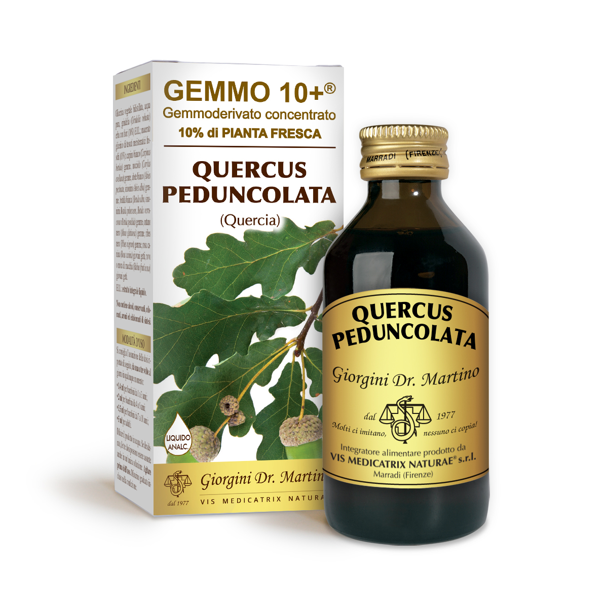 G10+ PEDUNCULATE OAK (Quercus peduncolata) Alcohol-free liquid main product photo
