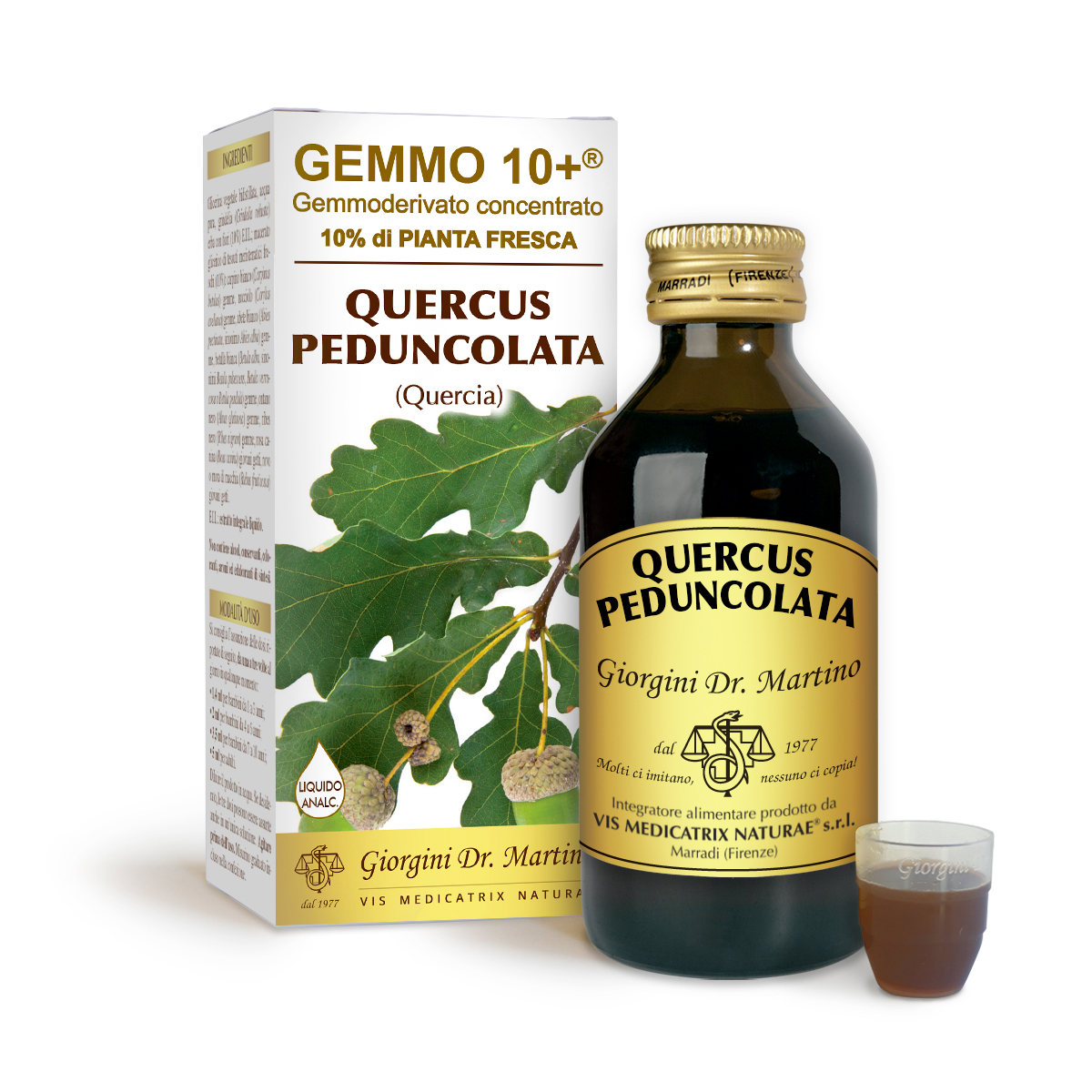 G10+STIELEICHE (Quercus peduncolata) Alkoholfreie Flüssigkeit