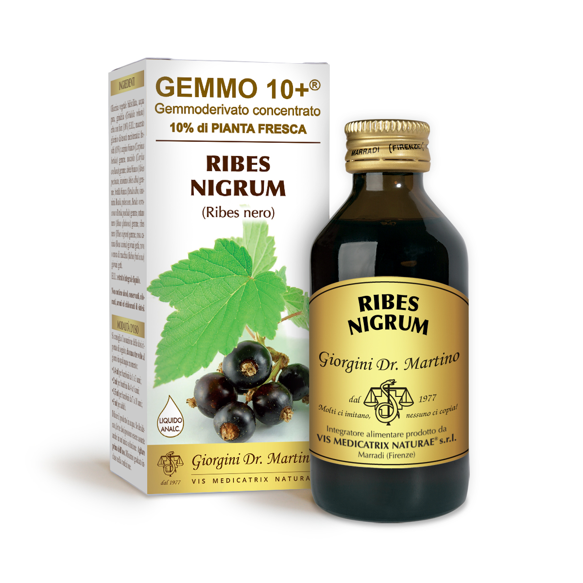 GROSELLERO NEGRO G10+ (Ribes nigrum) Líquido sin alcohol main product photo
