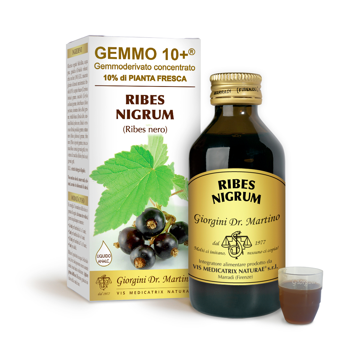 G10+SCHWARZE JOHANNISBEERE (Ribes nigrum) Alkoholfreie Flüssigkeit