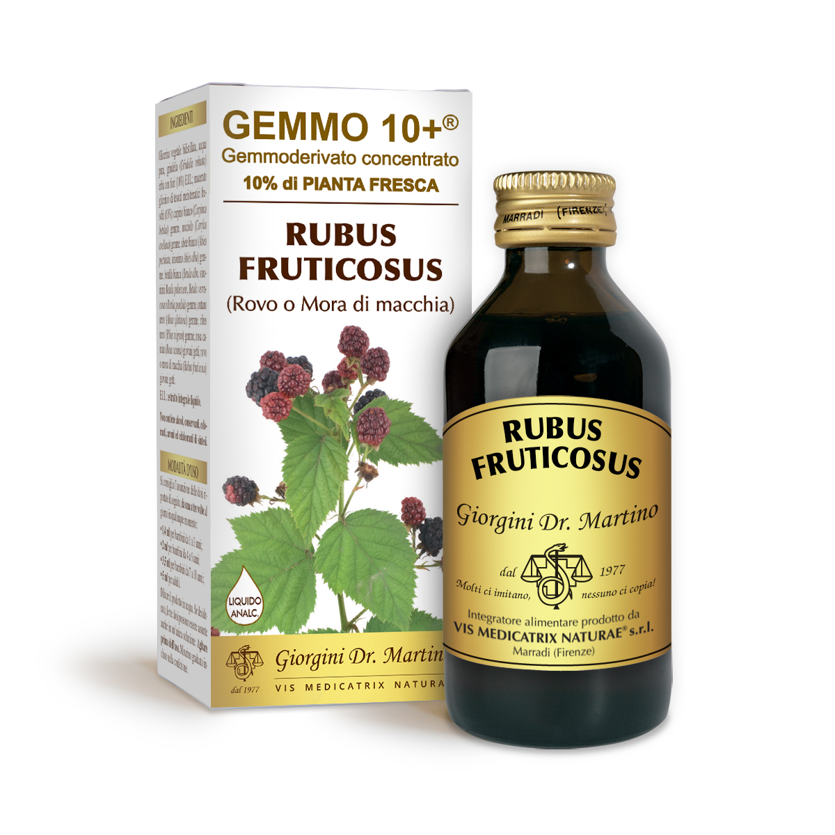 G10+Brombeere (Rubus fruticosus) Alkoholfreie Flüssigkeit main product photo