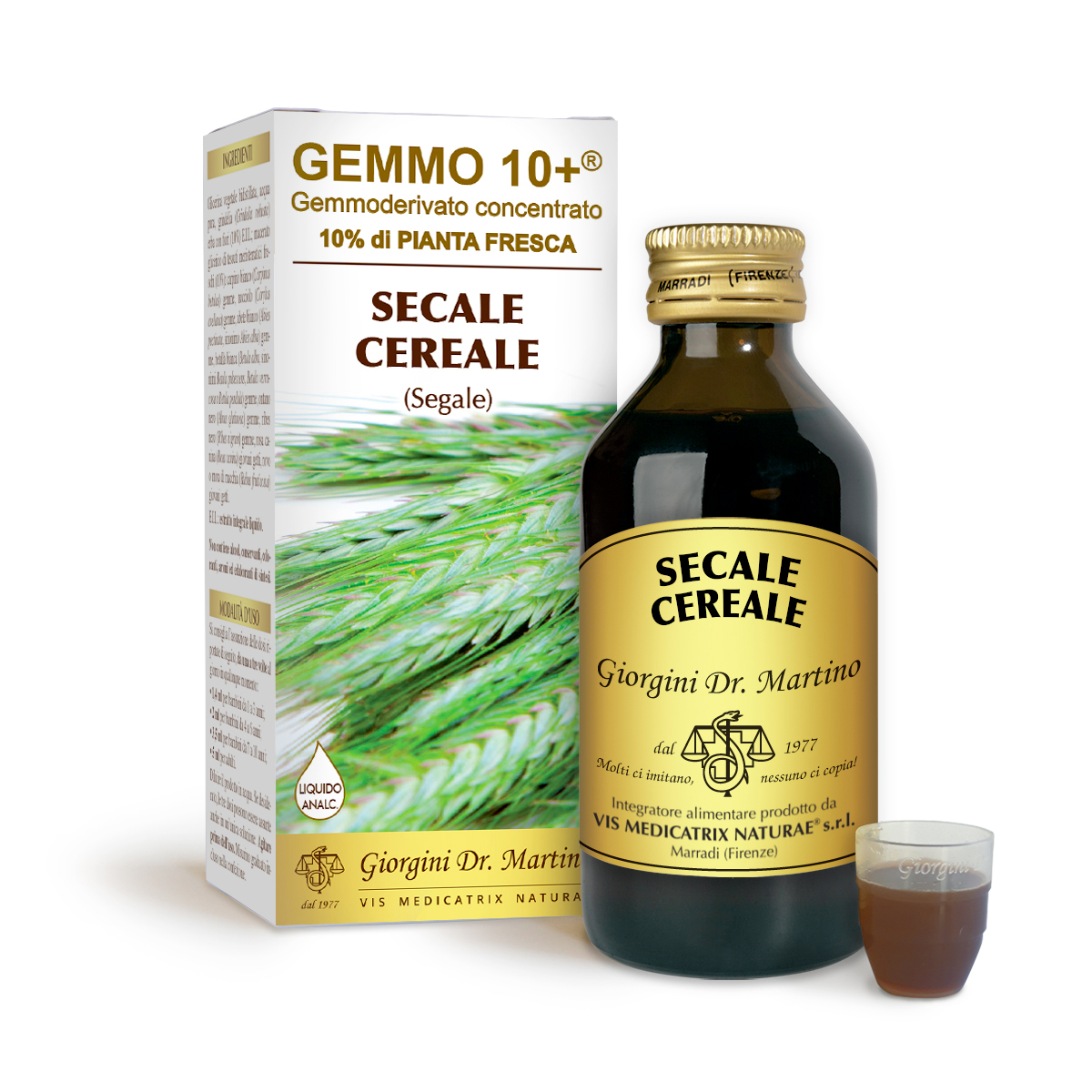 G10+ SEIGLE (Secale cereale) Liquide sans alcool