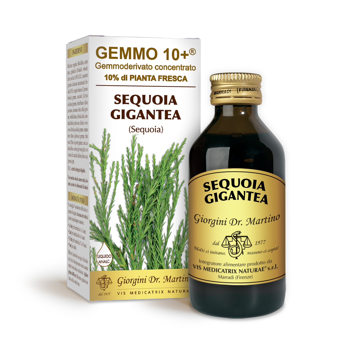 G10+MAMMUTBAUM (Sequoia gigantea) Alkoholfreie Flüssigkeit main product photo