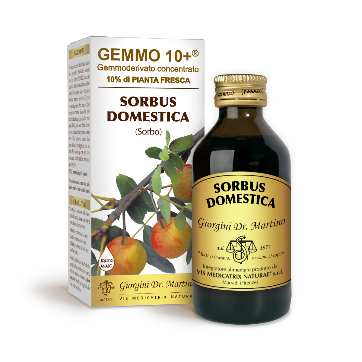 G10+ SERVICE TREE (Sorbus domestica) Alcohol-free liquid main product photo
