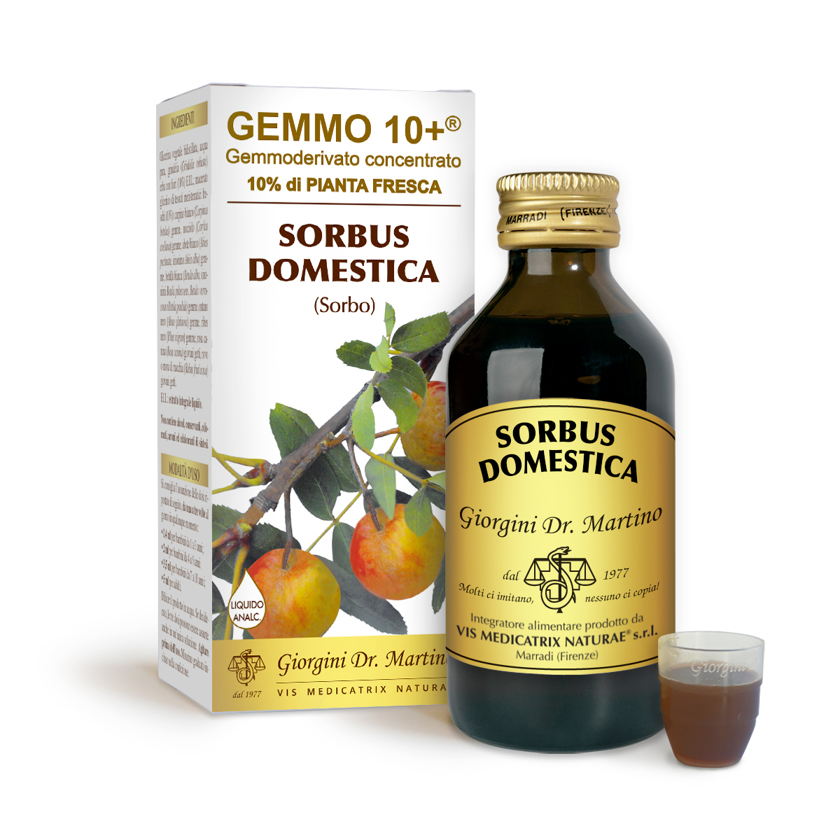 G10+ CORMIER (Sorbus domestica) Liquide sans alcool