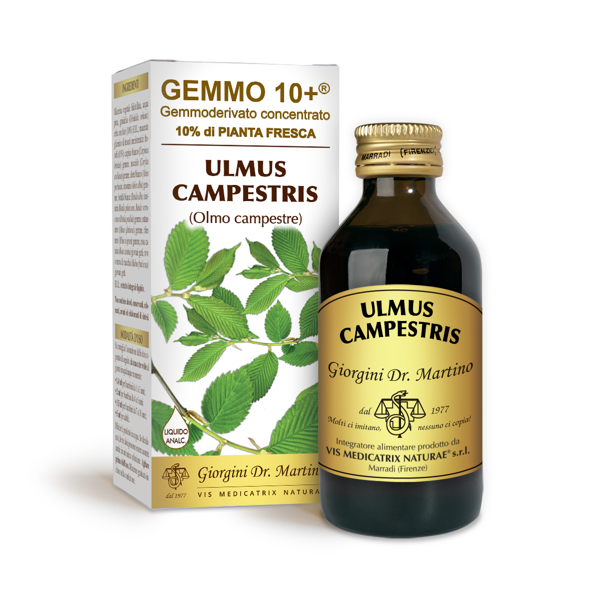 OLMO G10+ (Ulmus campestris) Líquido sin alcohol main product photo