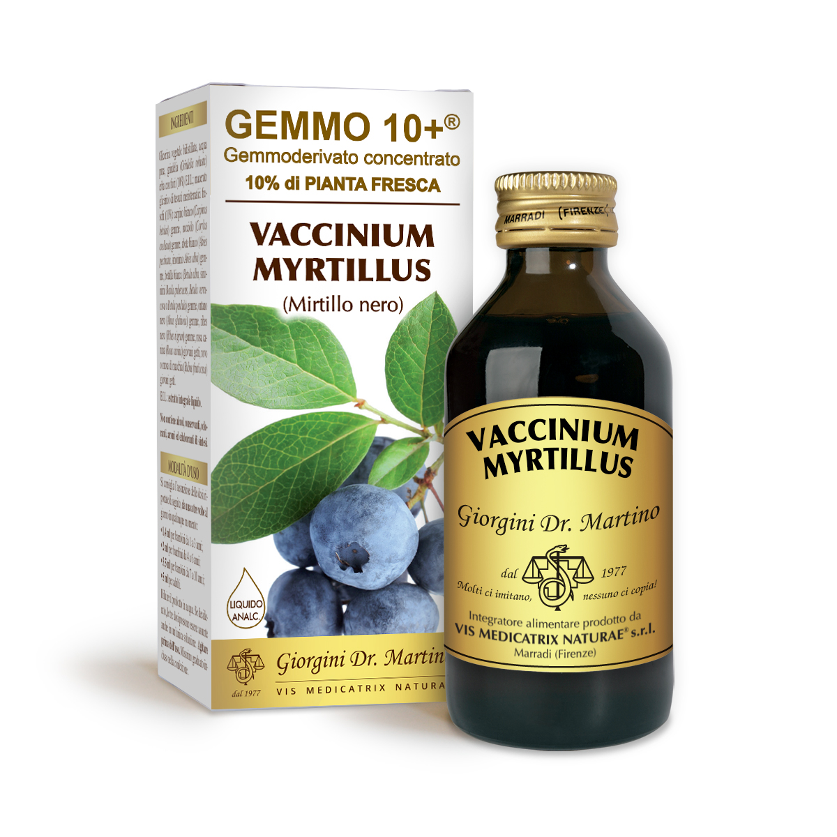 G10+HEIDELBEERE (Vaccinium myrtillus) Alkoholfreie Flüssigkeit main product photo