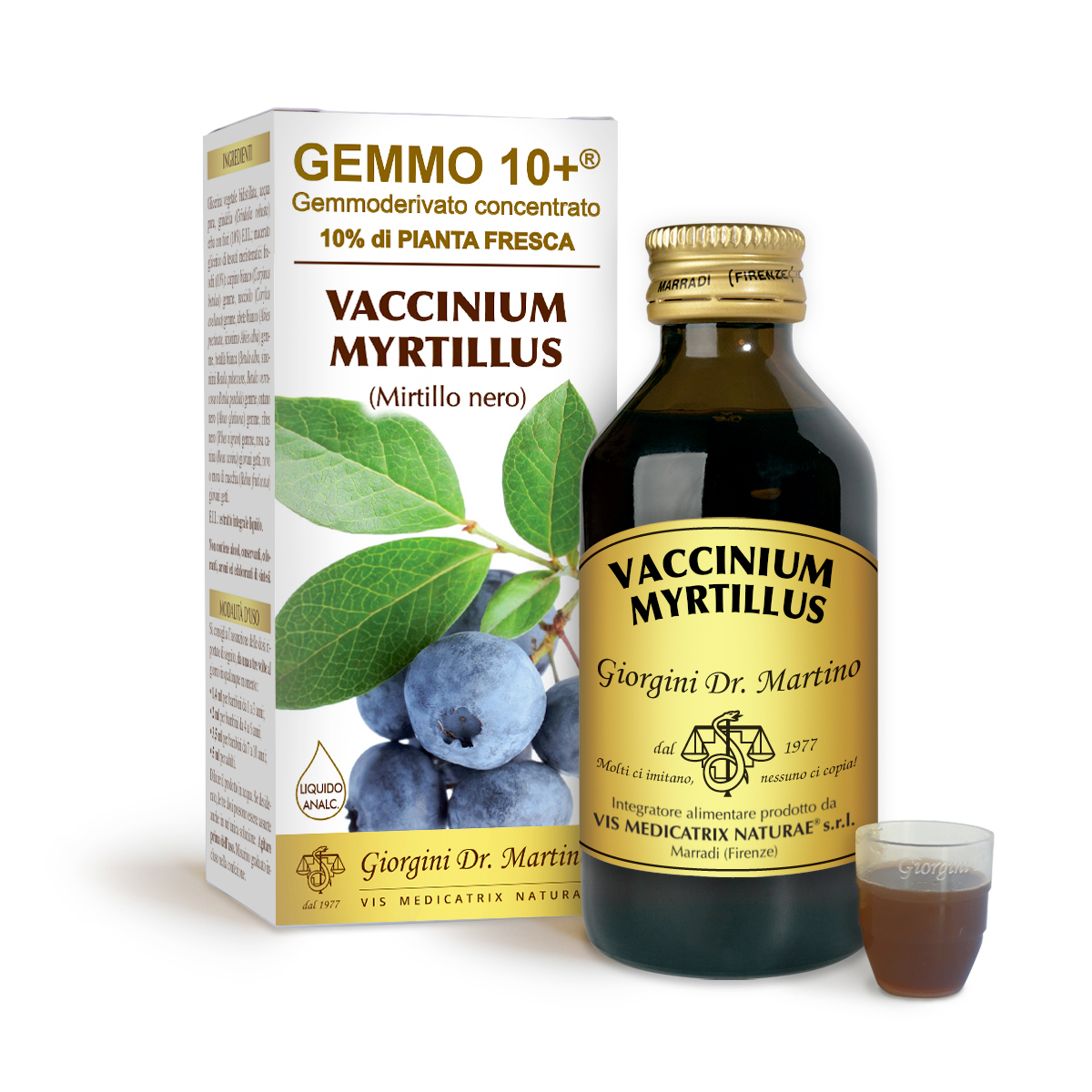 G10+ MYRTILLIER COMMUN (Vaccinium myrtillus) Liquide sans alcool