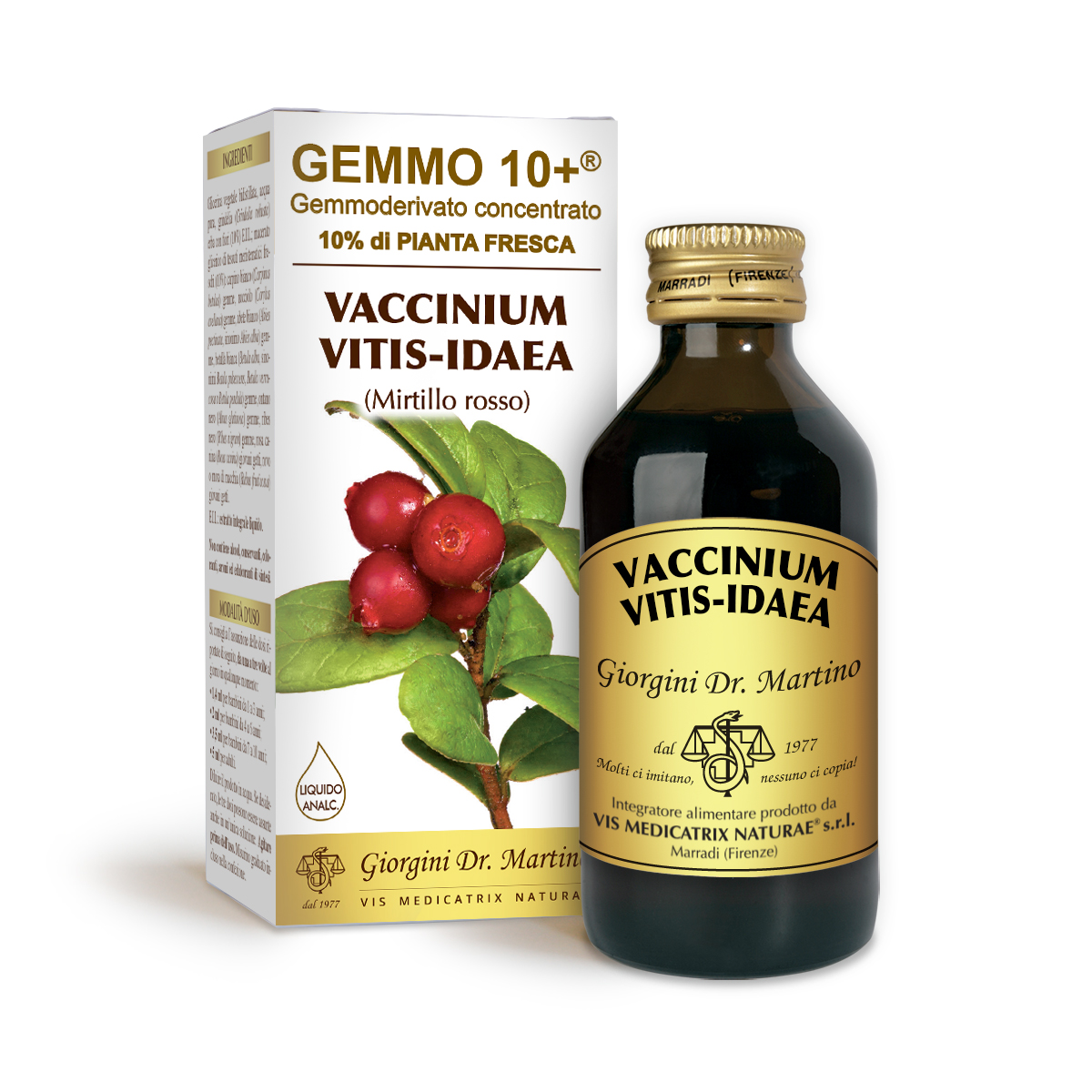 G10+PREISELBEERE (Vaccinium vitis-idaea)Alkoholfreie Flüssigkeit