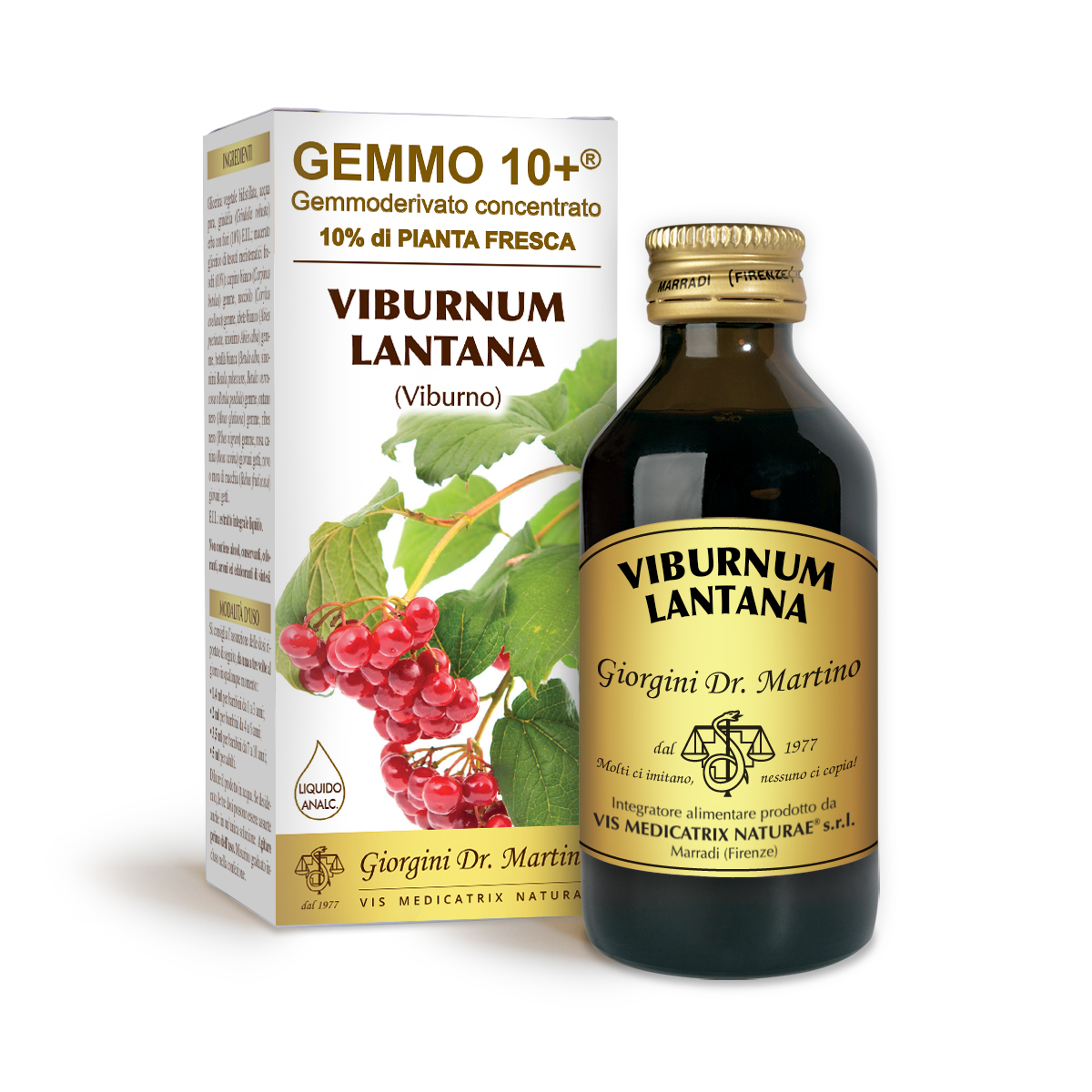 VIBURNUM G10+ (Viburnum lantana) Líquido sin alcohol main product photo