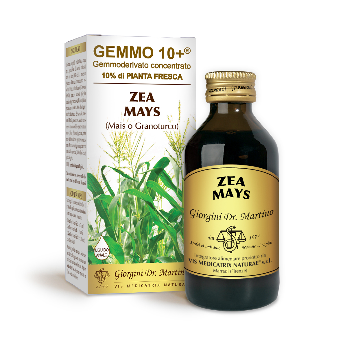 G10+MAIS oder ZUCKERKORN (Zea mais) Alkoholfreie Flüssigkeit main product photo