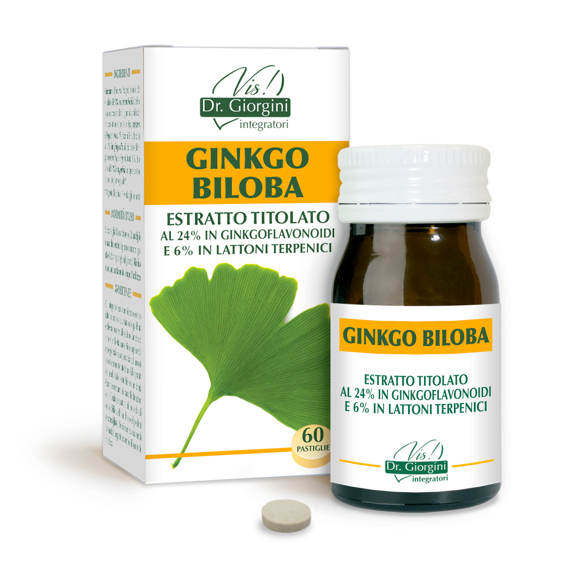 GINKGO BILOBA Standardized extract Tablets
