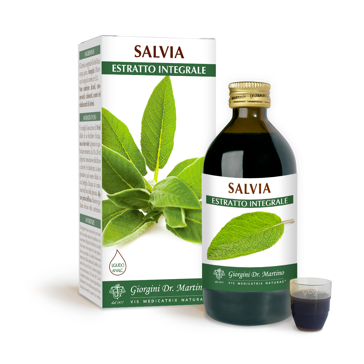 SALBE Gesamtextrakt Alkoholfreie Flüssigkeit